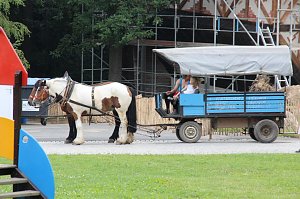 Tierparkfest auf dem Hexentanzplatz