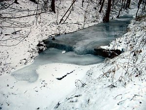 Winter im S&uuml;dharz