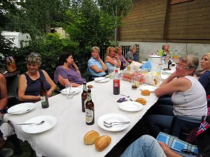 4 Pfoten Hundeclub