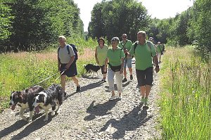 4 Pfoten Hundeclub