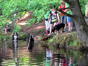 4 Pfoten Hundeclub