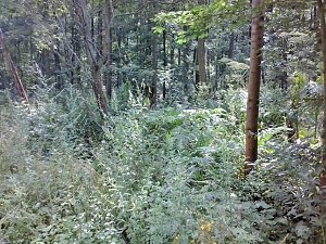Aufpassen am Wanderweg