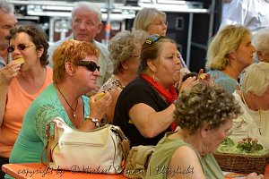 20 Jahre Altstadtfest