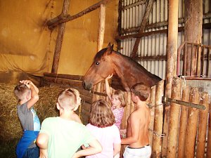 Sommerferien im Schullandheim Schneckenhengst