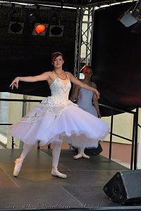 20 Jahre Altstadtfest