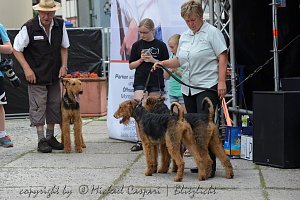 20 Jahre Altstadtfest