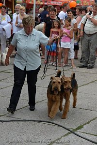 20 Jahre Altstadtfest
