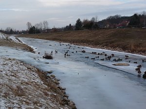Die Wipper im Winter