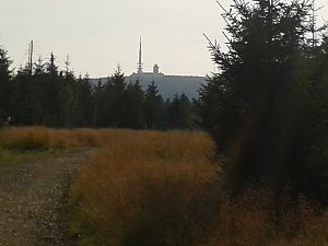 Der Brocken aus Richtung Westen, aufgenommen zwischen Torfhaus und dem Harzgipfel nach rund 44 km um 9:06.
