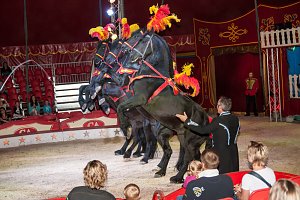 Besuch im Zirkus