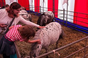 Besuch im Zirkus