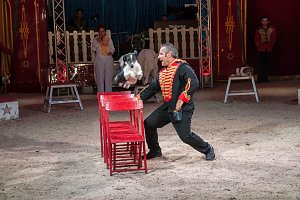 Besuch im Zirkus