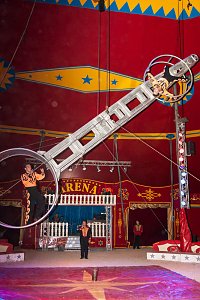 Besuch im Zirkus