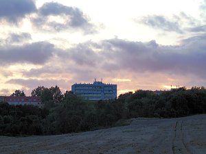Abendspaziergang