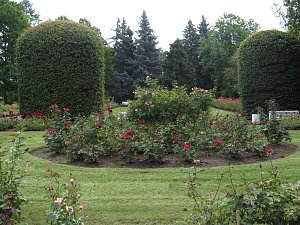 Ortstermin im Rosengarten