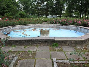 Ortstermin im Rosengarten