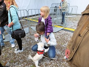 EVN-Party - der Nachmittag