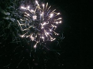 EVN-Party - der Abend