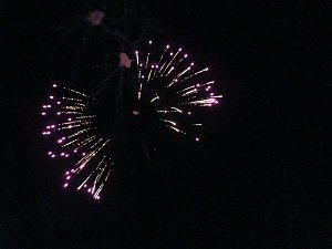 EVN-Party - der Abend