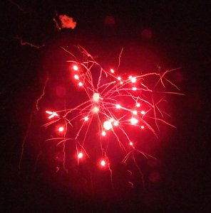 EVN-Party - der Abend