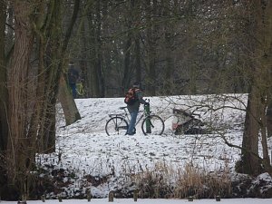 Sunday in the Park 