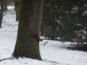 Sunday in the Park 