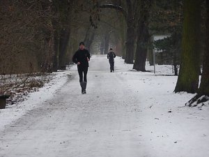 Sunday in the Park 
