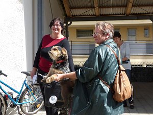 Fahrr&auml;der versteigert