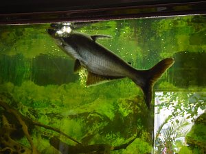 Besuch im Zoo von Aschersleben