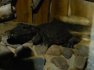 Besuch im Zoo von Aschersleben