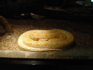 Besuch im Zoo von Aschersleben
