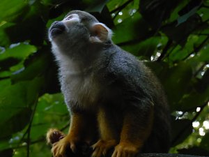Besuch im Zoo von Aschersleben