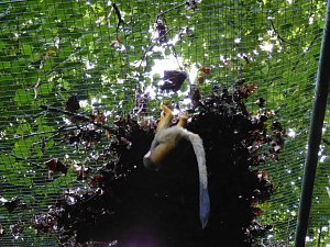 Besuch im Zoo von Aschersleben