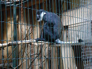 Besuch im Zoo von Aschersleben