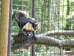 Besuch im Zoo von Aschersleben