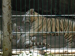 Besuch im Zoo von Aschersleben