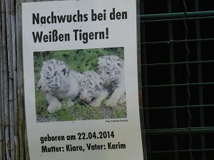 Besuch im Zoo von Aschersleben