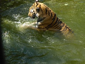 Besuch im Zoo von Aschersleben