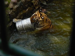 Besuch im Zoo von Aschersleben