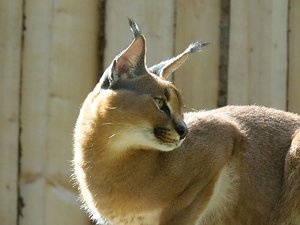 Besuch im Zoo von Aschersleben