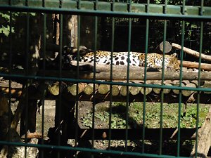 Besuch im Zoo von Aschersleben
