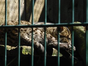 Besuch im Zoo von Aschersleben