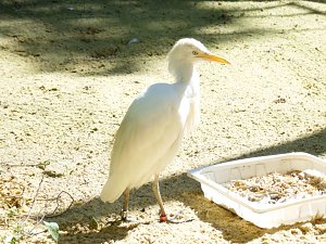 Besuch im Zoo von Aschersleben