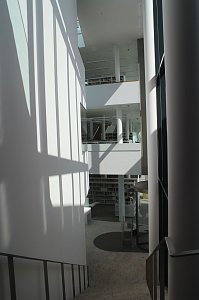 Kunst f&uuml;r kahle W&auml;nde