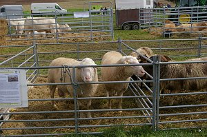 Er&ouml;ffnung des Bauernmarktes in Kallmerode