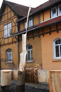 Abgebrochene Esche