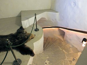 Sch&auml;tze im Schloss Ballenstedt