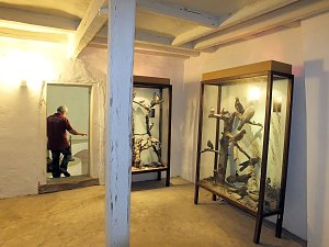 Sch&auml;tze im Schloss Ballenstedt