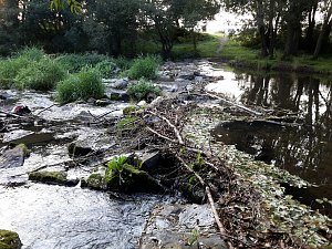 Rundgang an der Zorge