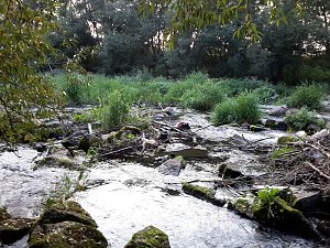 Rundgang an der Zorge